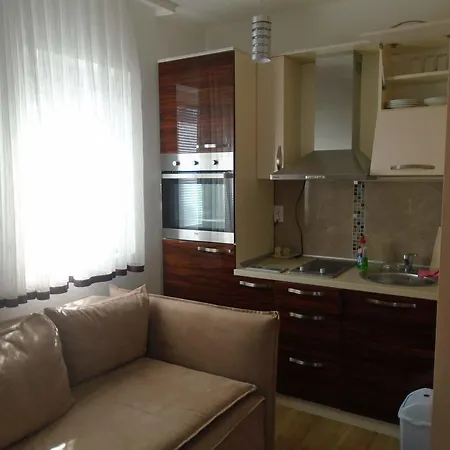 Vila Bavaria Apartment Raska