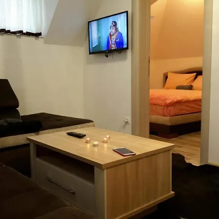 Apartment Vila Bavaria Raska